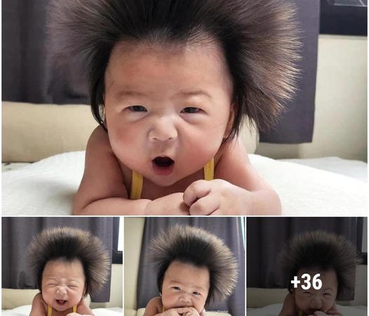 All Over the World, a Newborn Baby Has Jet Black Hair, but It’s Hard to Describe Baby