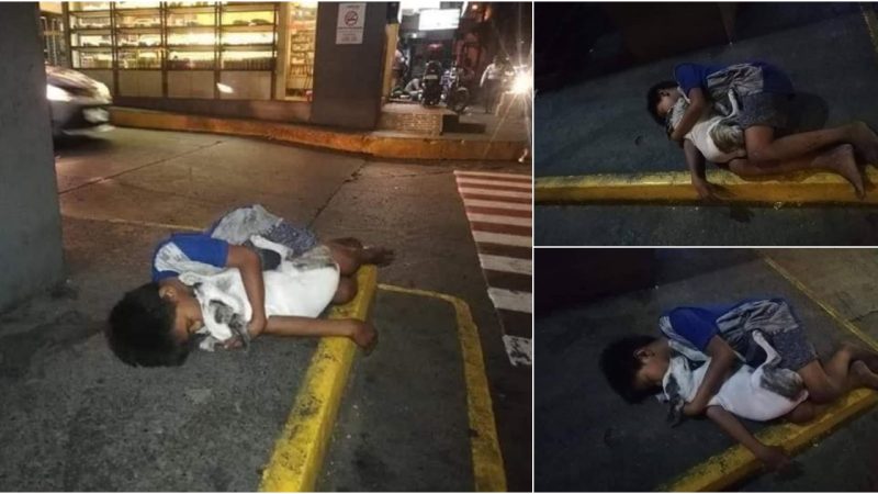 Heartwarming Moment: Slumbering Child and Canine Companion Share Warmth and Love