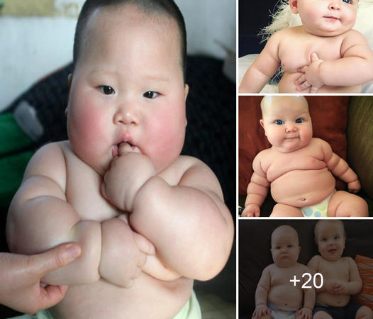 The Enchanting Allure of Dumpling Babies and Their Irresistible Round Cheeks