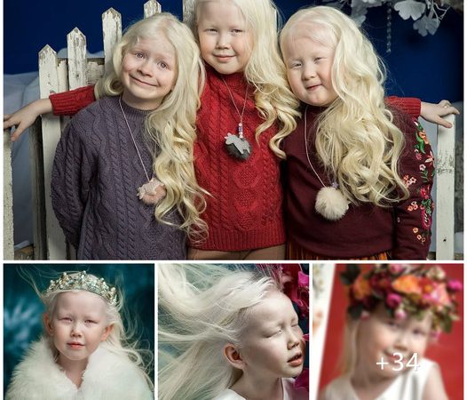 The Snow Queen: A Mesmerizing Tale of Beauty and Kindness