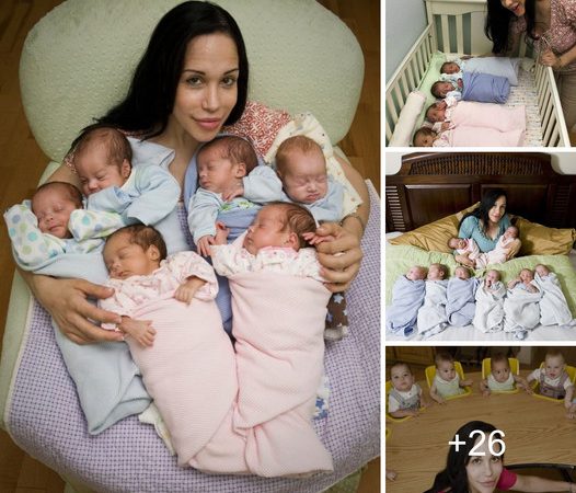 An Odyssey of a Girl with 8 Sets of Twins – A 12-Year Retrospective (Video)