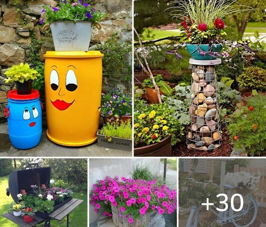 30 Innovative and Effortless Garden Decor Ideas That’ll Spark Your Imagination