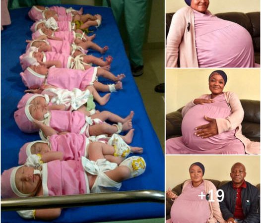 A Guinness World Record: South African Woman Gives Birth to Decuplets