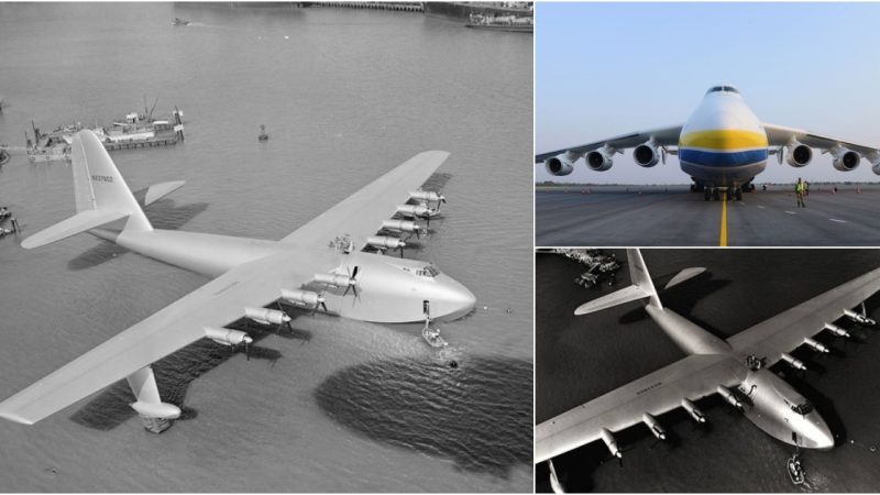 Discover the World’s Biggest Aircraft Ever Constructed and Their Fascinating Tales (Video)