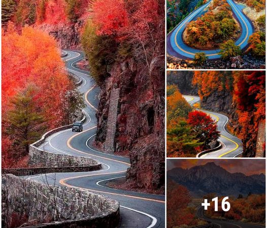 Hawk’s Nest Highway, New York: A Breathtaking Journey through Nature’s Masterpiece