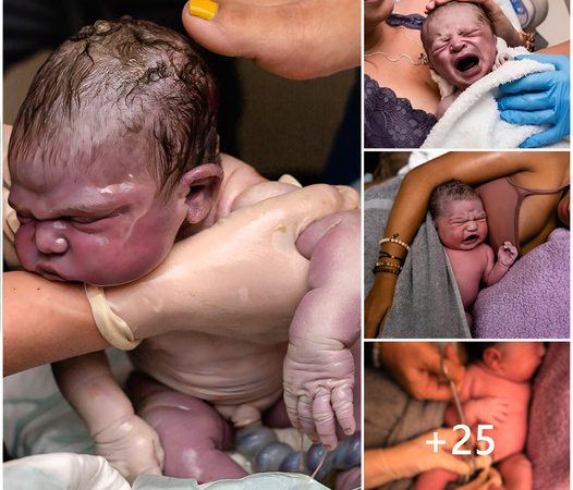 The Marvels of Newborns: Unveiling Intriguing First-Hour Wonders