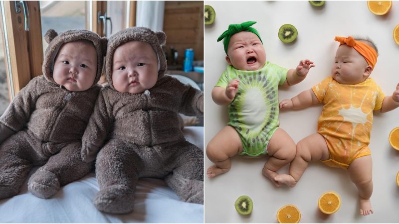 Capturing Hearts: The Magical World of the Charming Plump Twins