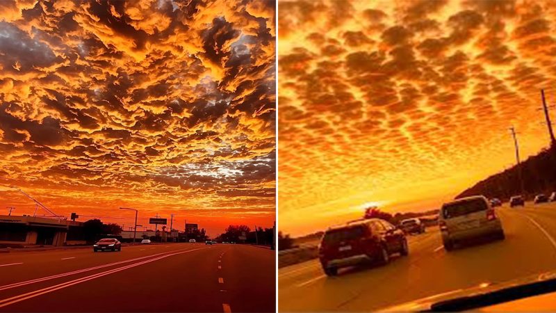 Witnessing the Fiery Sunset: A Spectacular Evening in Los Angeles