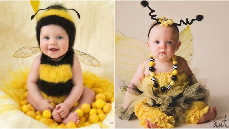 Buzzing with Cuteness: The Charm of Transforming into a Bee