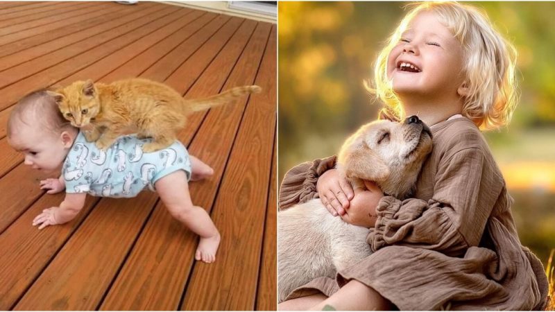 The Profound Bond Between Babies and Their Pets: A Tale of Love and Protection