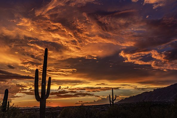 What an Incredible Sunset in Tucson Tonight!